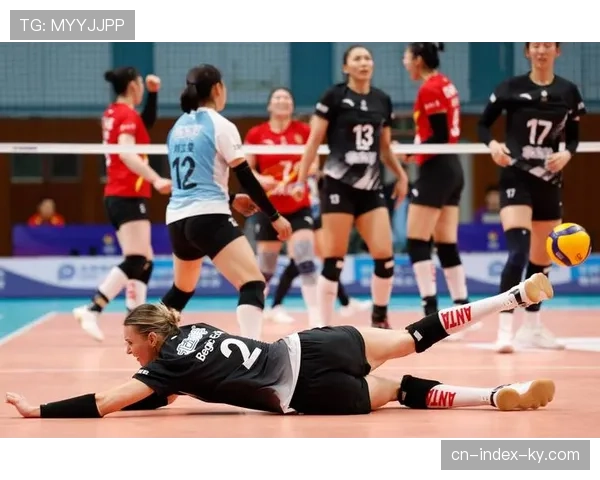 北京北冰洋女排续约武林贝吉奇 新援法布里斯增强边攻火力